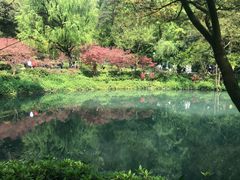 -极客修手机维修·电脑维修·家电维修清洗(五一广场店)