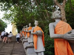 -西双版纳勐泐文化旅游区