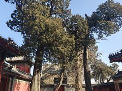 -承恩寺