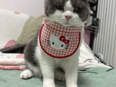 -美联众合动物医院·24h转诊中心