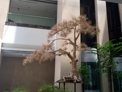 -湖北省美术院美术馆