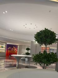 -广州美莱医疗美容医院