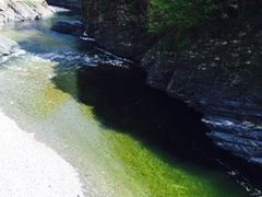 -黑河国家森林公园