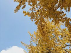 -百林公园-两江幸福广场