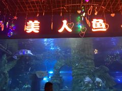 -石家庄市动物园