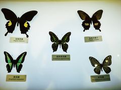 -中国湿地博物馆