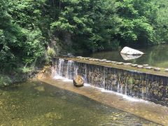-牛背梁国家森林公园