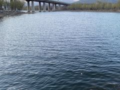 -永定河休闲森林公园