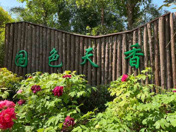 北仑牡丹园-"从北仑文体旅游公众号上得知,微信朋友圈连.