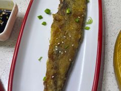 -釜山美食韩国炸酱面(长大店)