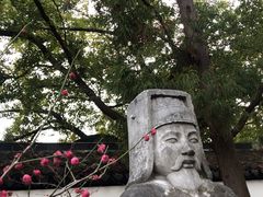 -苏州文庙(姑苏区)