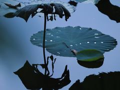 -烈士陵园(地铁站)