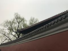 -国家图书馆·古籍馆