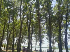 -野鸭湖国家湿地公园