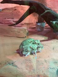 -Zoolung Zoolung动物主题公园(海信广场店)