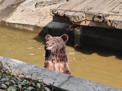 -常州淹城野生动物世界
