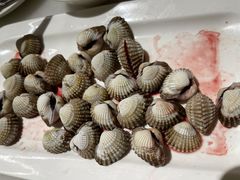 -华盛丰温州大排档(东三环南路店)