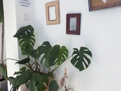 -AHAVA·Fang Baking Studio