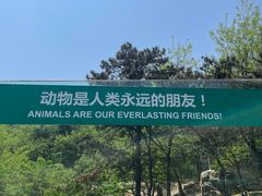 -大连森林动物园