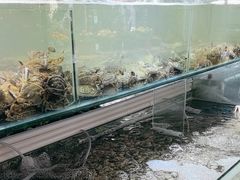 -四海蒸鲜蒸汽海鲜自助(北戴河店)