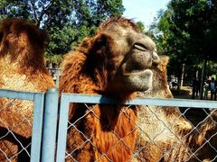 -长白岛森林公园