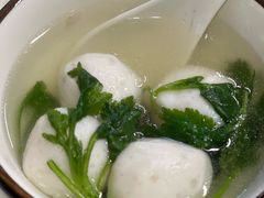 -丁老爷子苏香圆