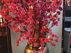 -大江户日本料理(吕厝店)