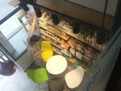 -帕帕拉兹宠物(亚洲旗舰店)