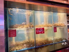水产区-钳真多钓虾馆·小龙虾海鲜烧烤(九六广场店)