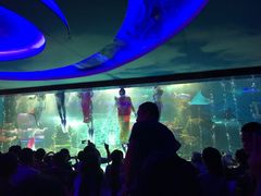 -大明湖海底世界