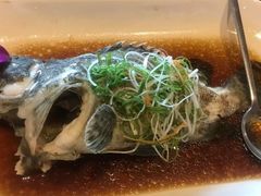-糟粕醋·椰苑海南菜餐厅(亚龙湾天域酒店)