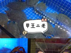 水产区-湘里乡亲甲王二老店
