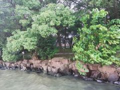 -同里湖度假村(二期店)