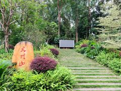 -火炉山森林公园