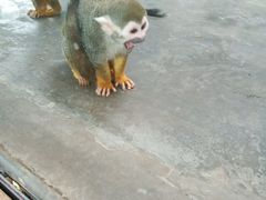 -西安秦岭野生动物园