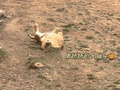 -济南野生动物世界