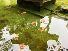 -南山风景名胜区