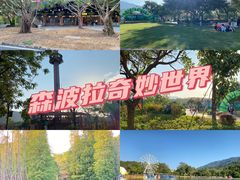 -森波拉奇妙世界