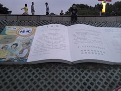 -观潮胜地公园
