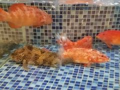 -太子园林酒家