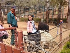 -大连森林动物园