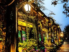 -乌镇西栅景区