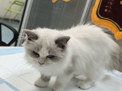 -美美宠物诊疗中心·异宠·骨科(滨江东信分院)