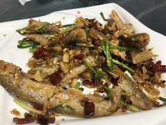-龙小海荆沙鸽子店(瑞安街店)