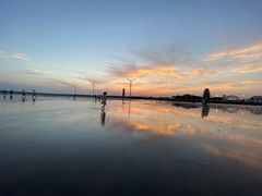 -奉贤海滩