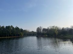 -长广溪湿地公园