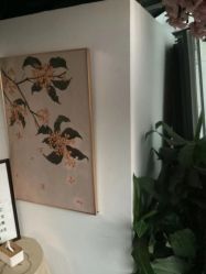 -康慧轩新中式养生·头疗SPA美容