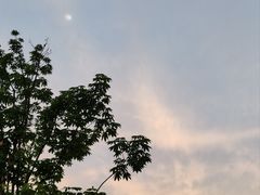 -浙江大学(紫金港校区)