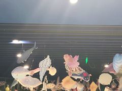 -沙沙哗啦海洋馆(华宇百花谷店)