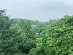 -杭州花家山庄